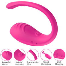 Vaginal Vibrator