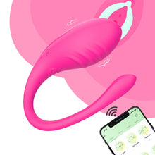 Vaginal Vibrator