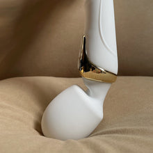 Powerful AV Vibrator