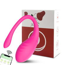 Vaginal Vibrator