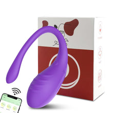 Vaginal Vibrator