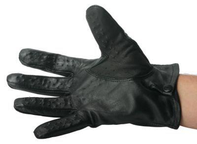 Vampire Gloves Large