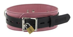 Strict Leather Deluxe Locking Collar - Pink And Black