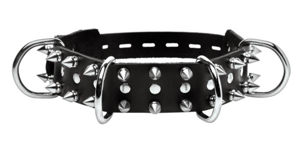 Strict Leather Spiked Dog Collar