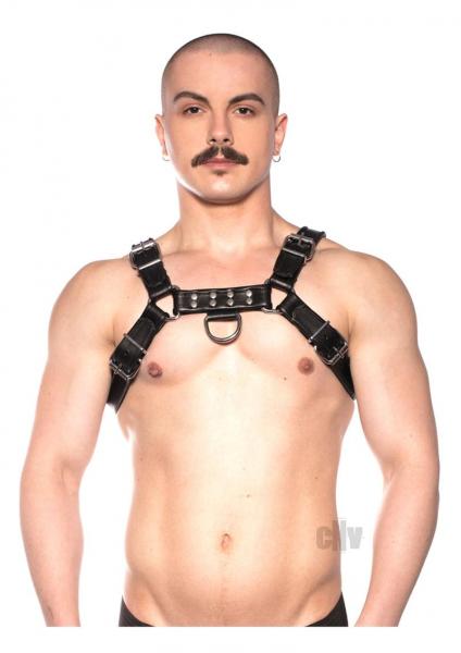 Prowler Red Bull Harness Black Md