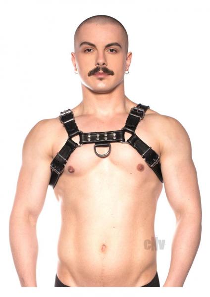 Prowler Red Bull Harness Black Sm