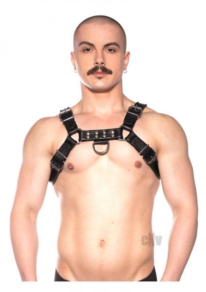 Prowler Red Bull Harness Black Xlarge