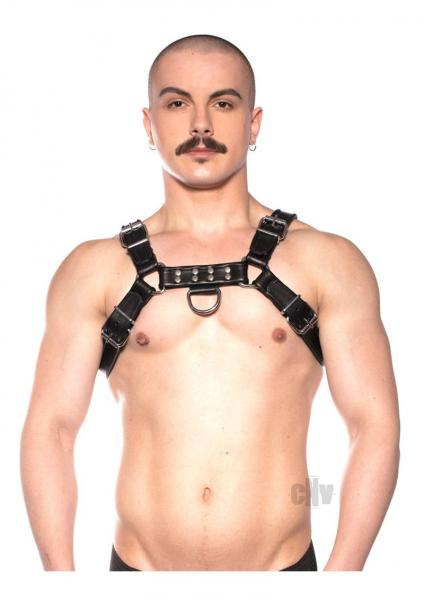 Prowler Red Bull Harness Blk Xxlg