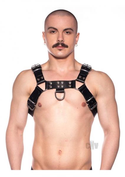 Prowler Red Butch Harness Blk/silv Md