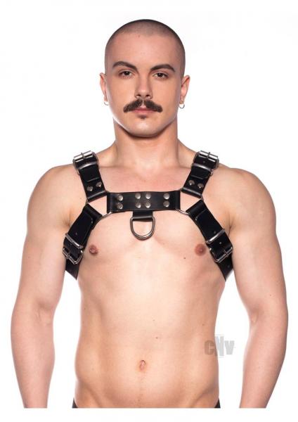 Prowler Red Butch Harness Blk/silv Xl