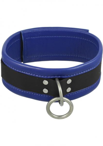 Black And Blue Leather Collar