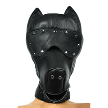 The Ultimate Leather Dog Hood