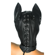 The Ultimate Leather Dog Hood