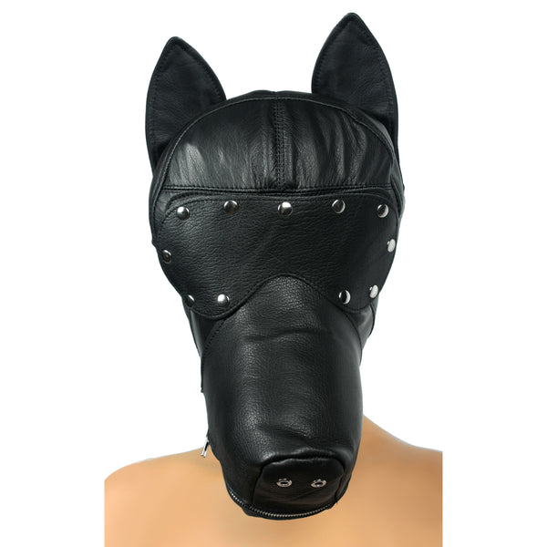 The Ultimate Leather Dog Hood