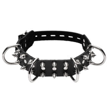 Bad Dog Leash And Spiked Collar Kit