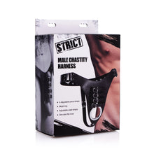 Male Chastity Harness