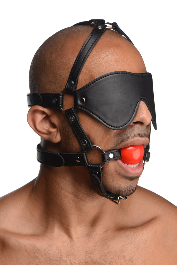 Blindfold Harness And Red Ball Gag