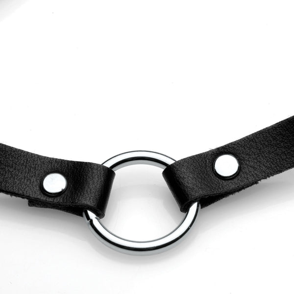 Lush Pet Silver Ring Slim Choker