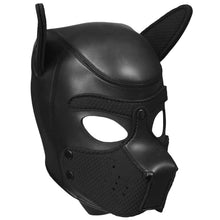 The Neoprene Puppy Kit - Sm