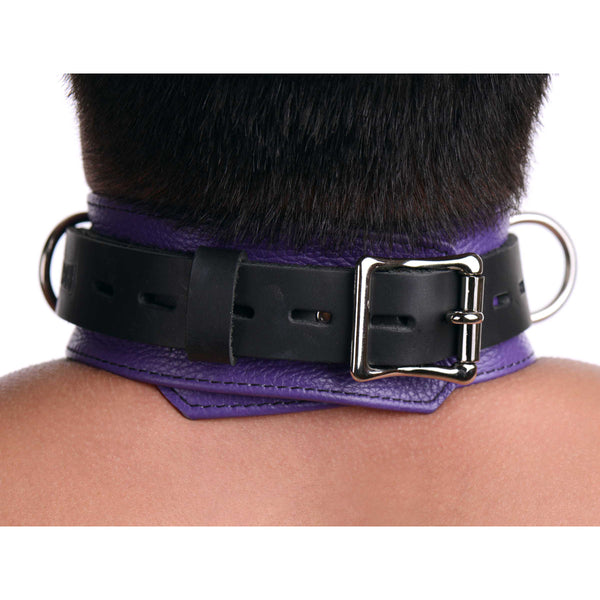 Strict Leather Deluxe Locking Collar - Purple And Black