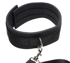 Frisky 46 Inch Leash And Collar Set